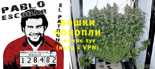 Альфа ПВП Аркадак