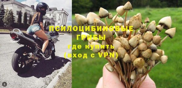 не бодяженный Арсеньев