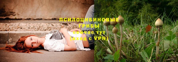 не бодяженный Арсеньев