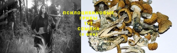 прущий лед Армянск
