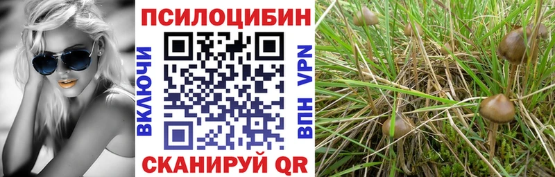 Галлюциногенные грибы GOLDEN TEACHER  закладка  blacksprut   Лабинск 